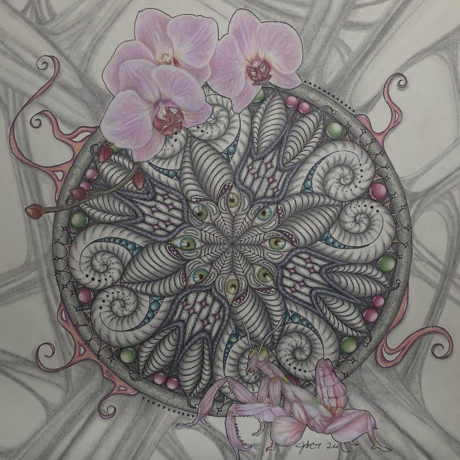 Circular drawing with pink orchids and an orchid mantis